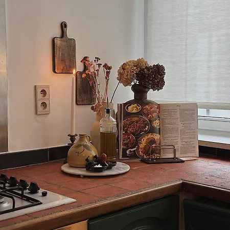 Gently In Center 아파트 헨트