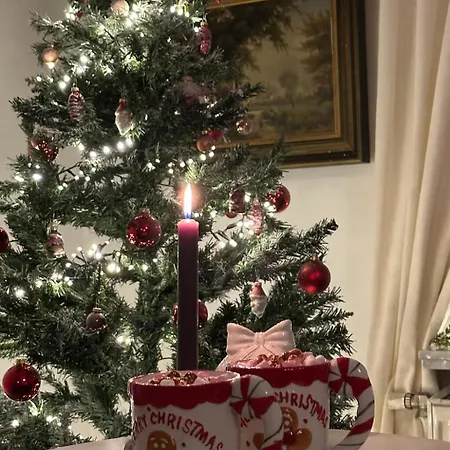 Gently In Center * 헨트