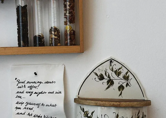 Gently In Center 헨트